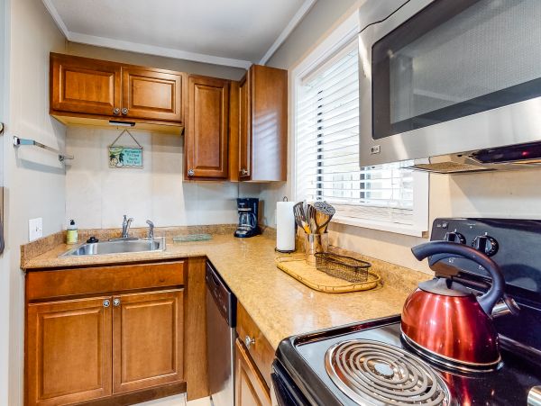 Hilton Head Condo 1008950