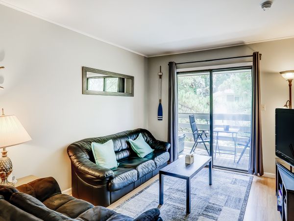 Hilton Head Condo 1008951