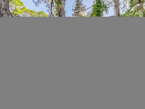 Hilton Head Condo 1008951