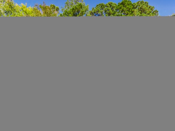 Hilton Head Condo 1008951