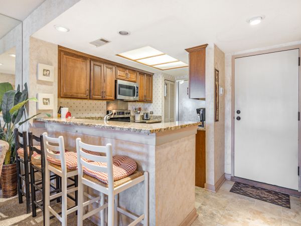 Hilton Head Condo 1008953