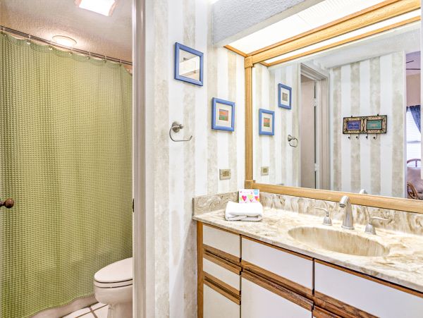Hilton Head Condo 1008953