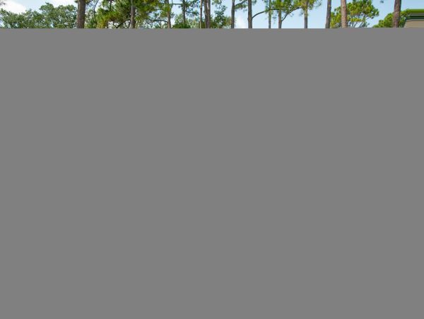 Hilton Head Condo 1008954