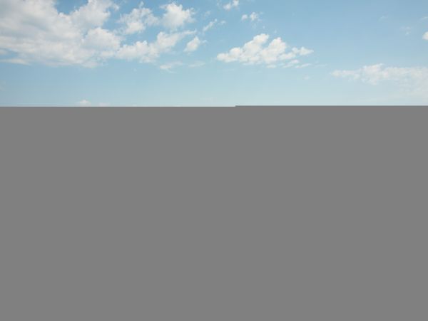Hilton Head Condo 1008954