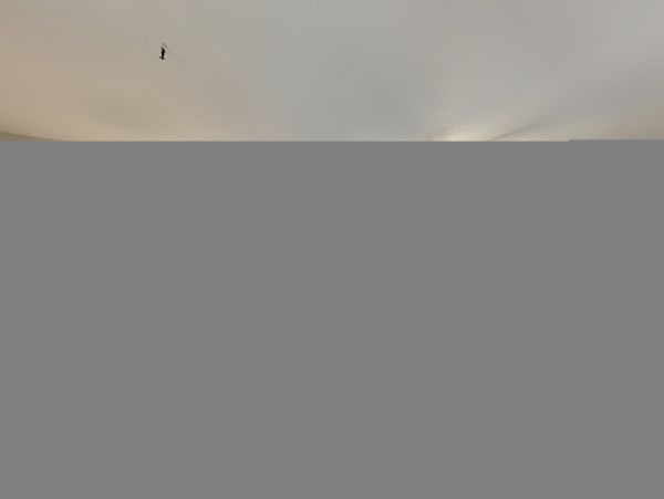 Hilton Head Condo 1008954