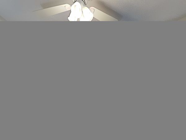 Hilton Head Condo 1008954