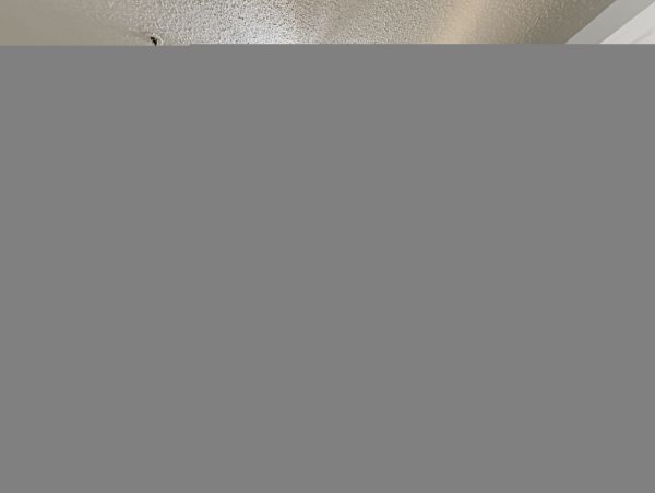 Hilton Head Condo 1008954