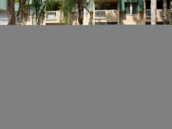 Hilton Head Condo 1008954