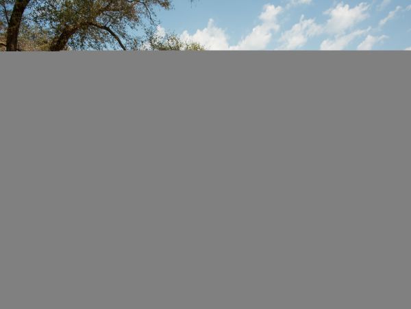 Hilton Head Condo 1008954