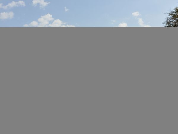 Hilton Head Condo 1008954