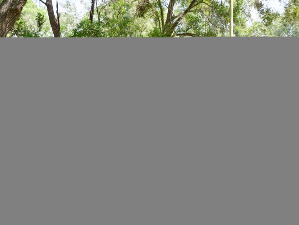 Hilton Head Condo 1008954