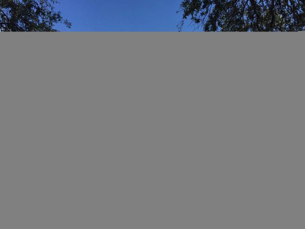 Hilton Head Condo 1008954