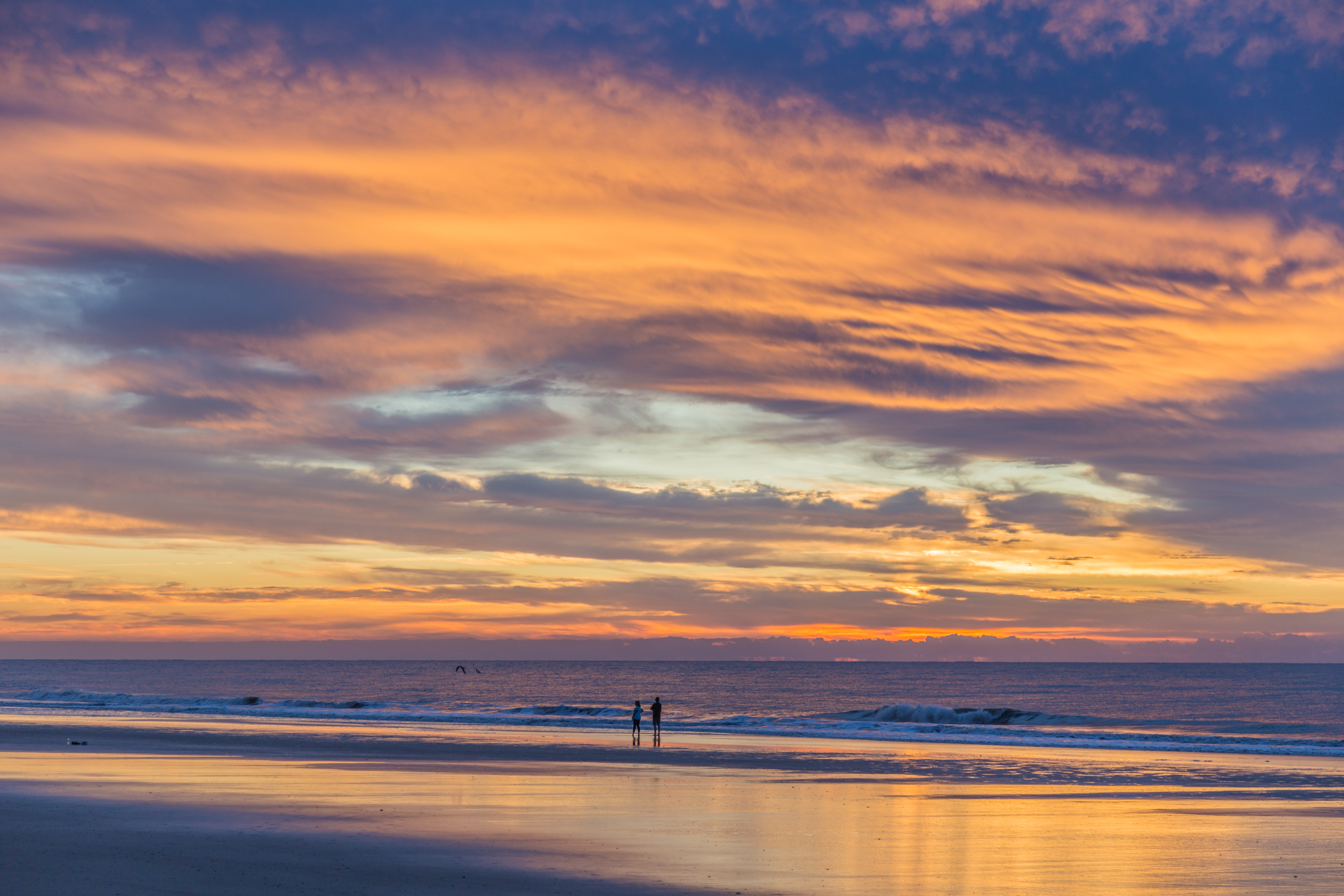 Hilton Head Condo 1008958