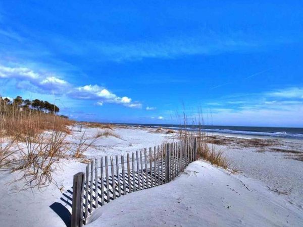 Hilton Head Condo 1008962
