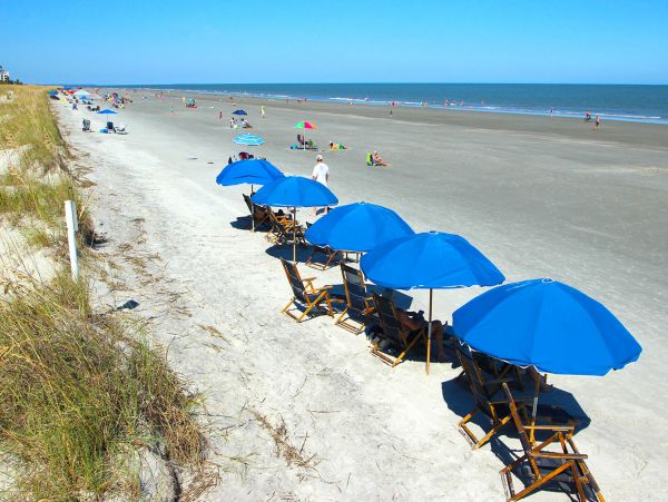 Hilton Head Condo 1008964
