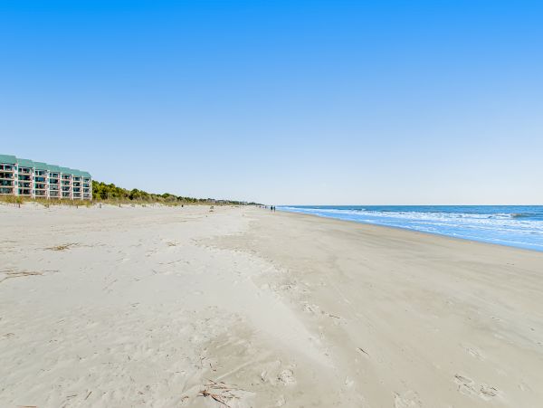 Hilton Head Condo 1008970