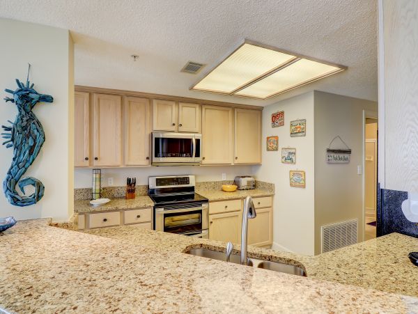 Hilton Head Condo 1008971