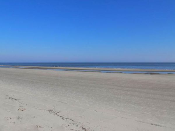 Hilton Head Condo 1008975