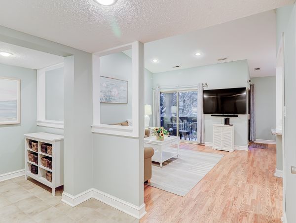 Hilton Head Condo 1008981