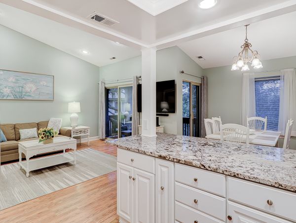 Hilton Head Condo 1008981