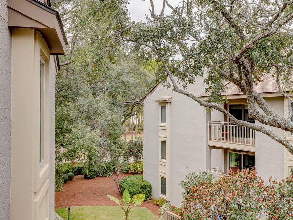 Hilton Head Condo 1008981