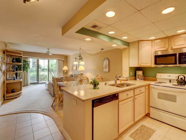 Hilton Head Condo 1008982