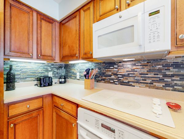 Hilton Head Condo 1008983