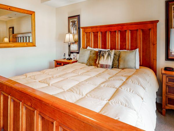 Hilton Head Condo 1008983