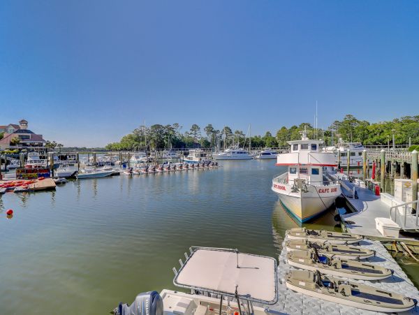 Hilton Head Condo 1008983