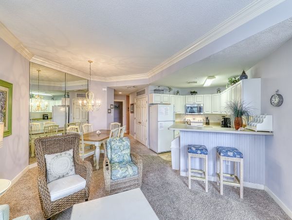 Hilton Head Condo 1008985