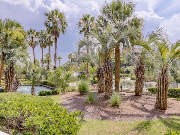 Hilton Head Condo 1008985