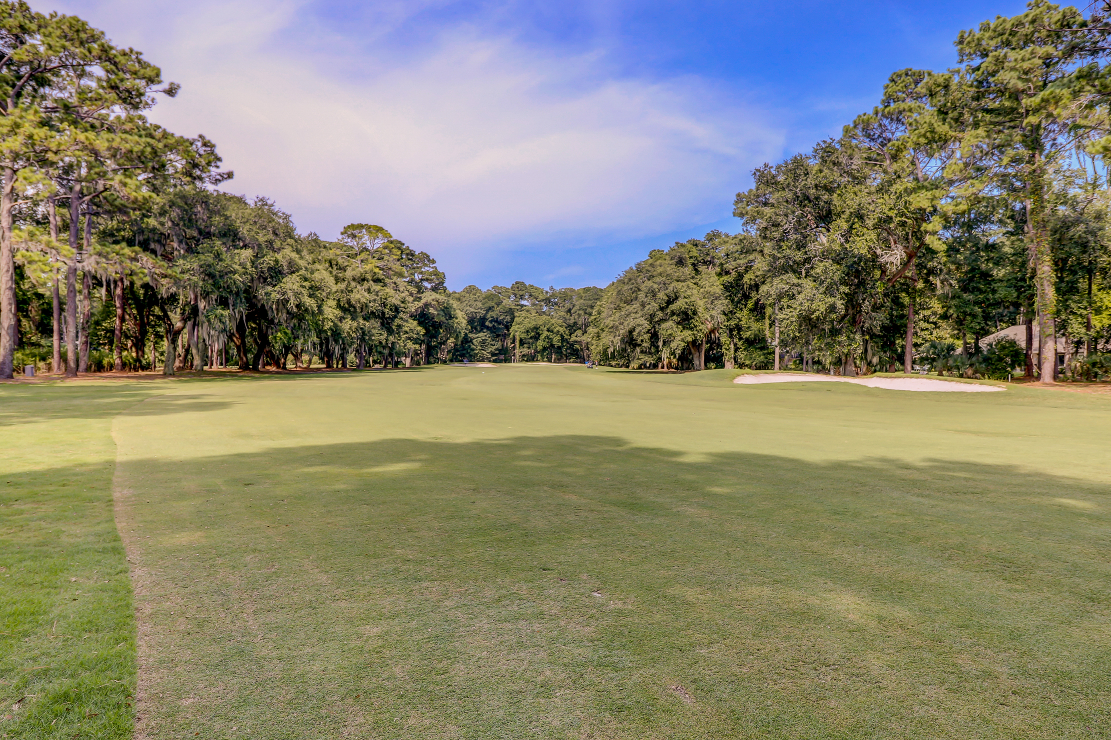 Hilton Head Condo 1008990