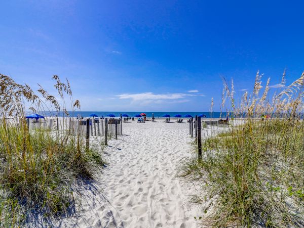 Hilton Head Condo 1008996
