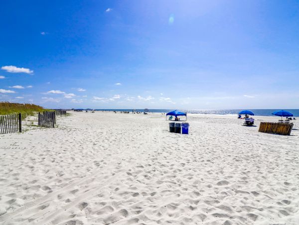 Hilton Head Condo 1008996