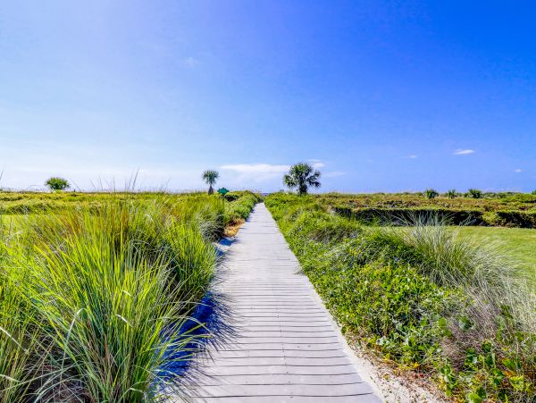 Hilton Head Condo 1008996