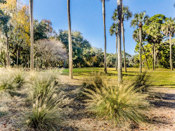 Hilton Head Condo 1008997