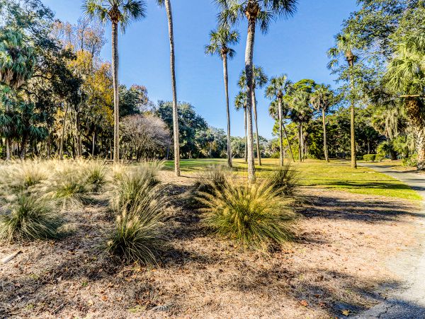 Hilton Head Condo 1008997