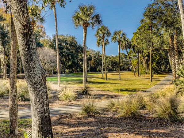 Hilton Head Condo 1008997