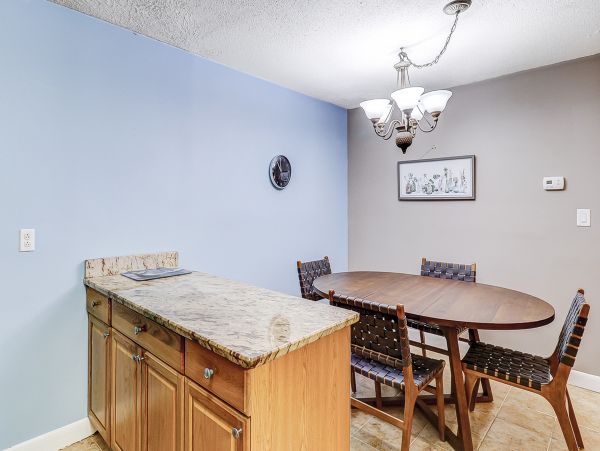 Hilton Head Condo 1008999