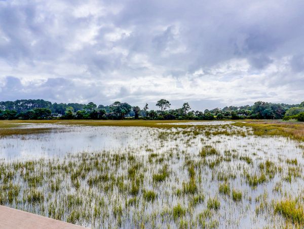 Hilton Head Condo 1008999