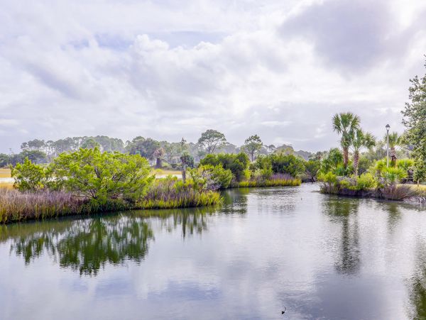 Hilton Head Condo 1008999