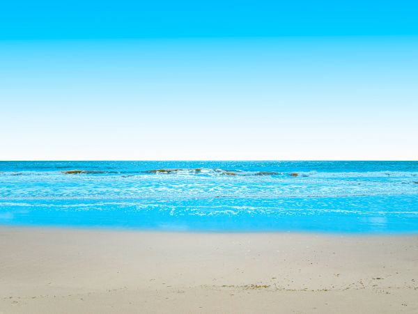 Hilton Head Condo 1009003