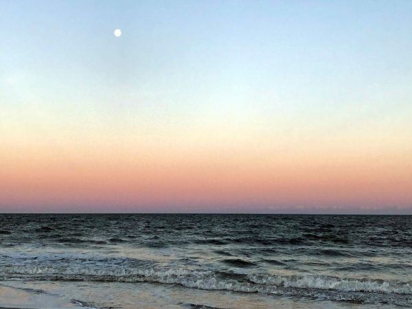 Hilton Head Condo 1009004