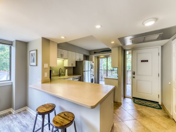 Hilton Head Condo 1009013