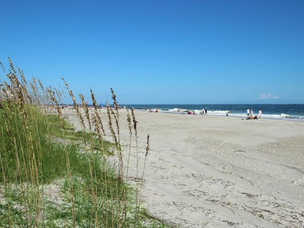 Hilton Head Condo 1009013