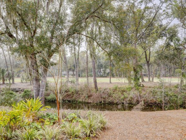 Hilton Head Condo 1009014