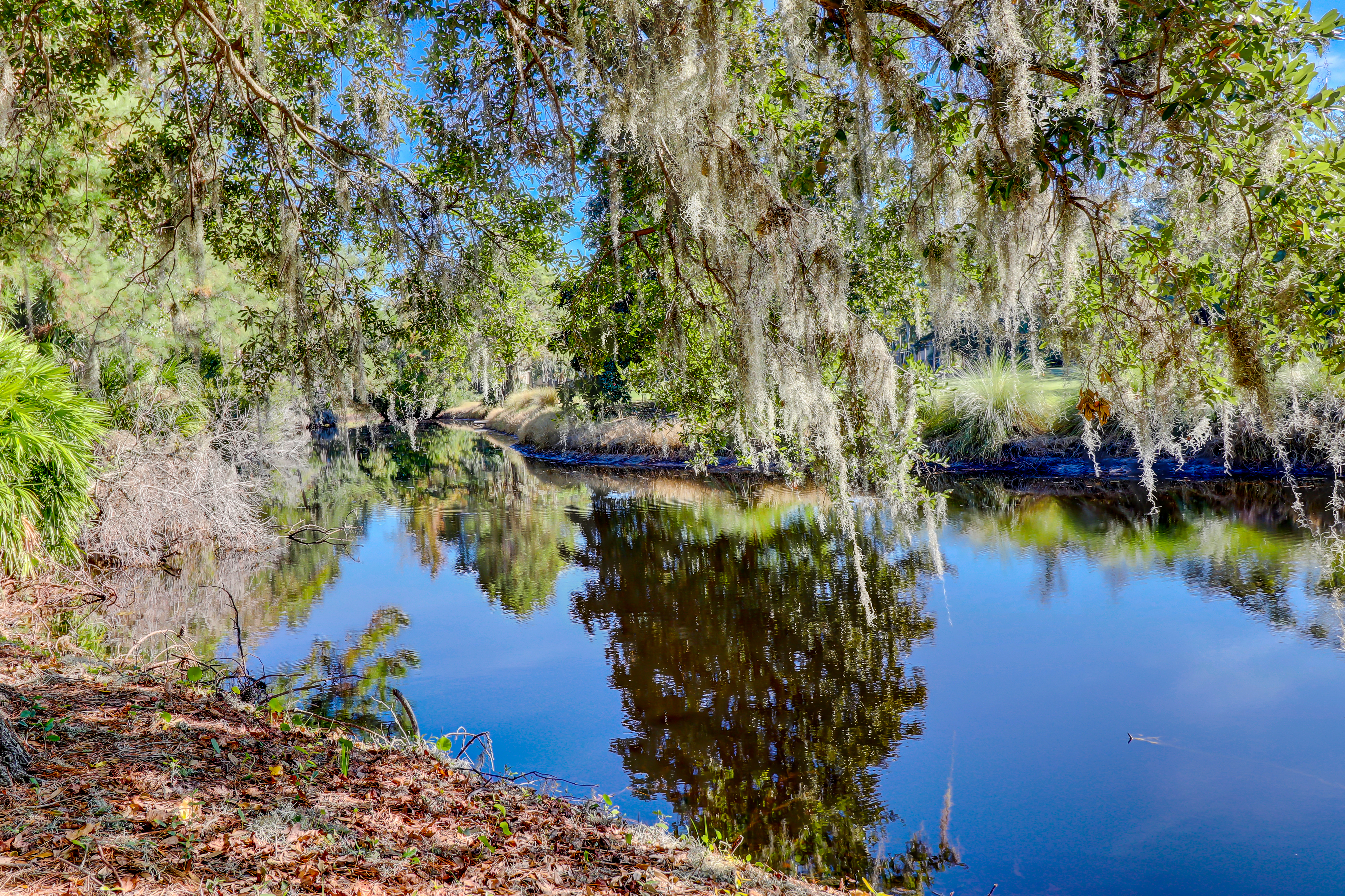Hilton Head Condo 1009017