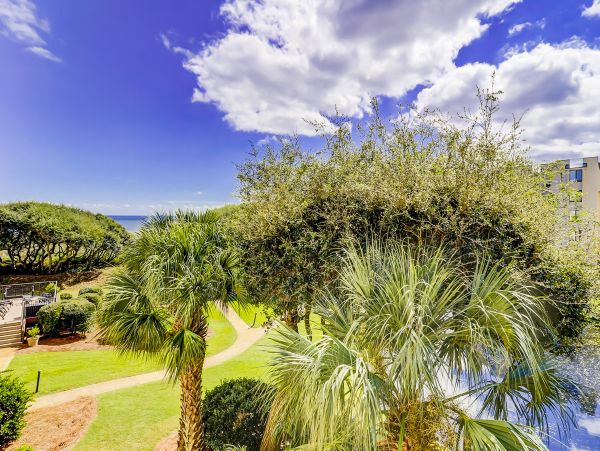 Hilton Head Condo 1009019