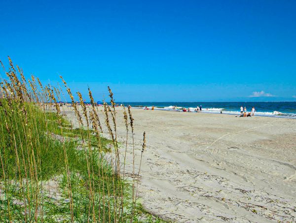 Hilton Head Condo 1009019