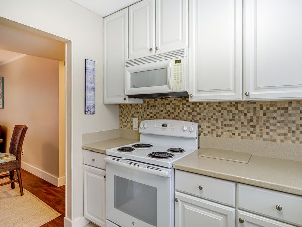 Hilton Head Condo 1009034